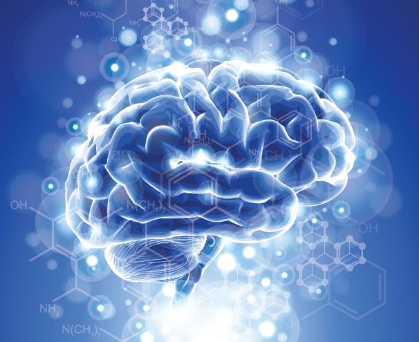 Neurobiologia delle dipendenze da alcol e da altre sostanze: dalla ricerca nuove prospettive per la terapia