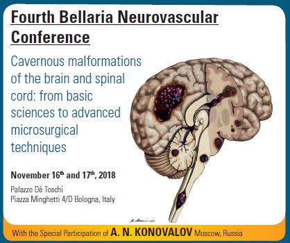 Fourth Bellaria Neurovascular Conference 
